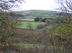 Scenic View from Southern Trail Templeglantine Section 